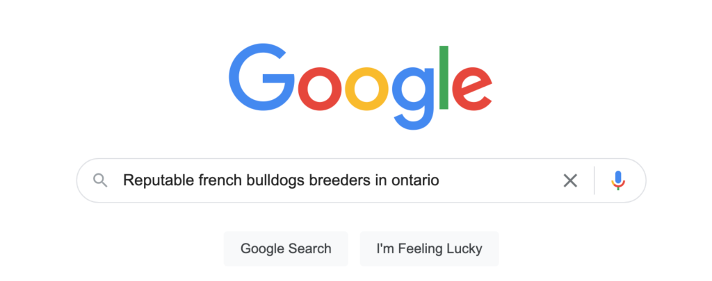 Google landing page with the search query " Reputable french bulldogs in ontario"
